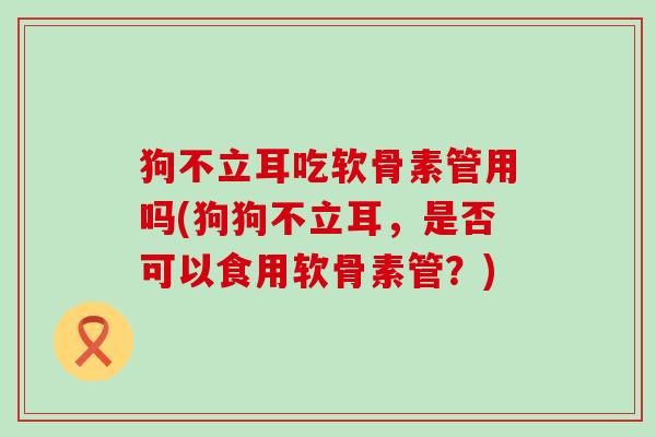 狗不立耳吃软骨素管用吗(狗狗不立耳,是否可以食用软骨素管?)-第1张图片-氨糖科普网 狗不立耳吃软骨素管用吗(狗狗不立耳,是否可以食用软骨素管?)-第1张图片-氨糖科普网