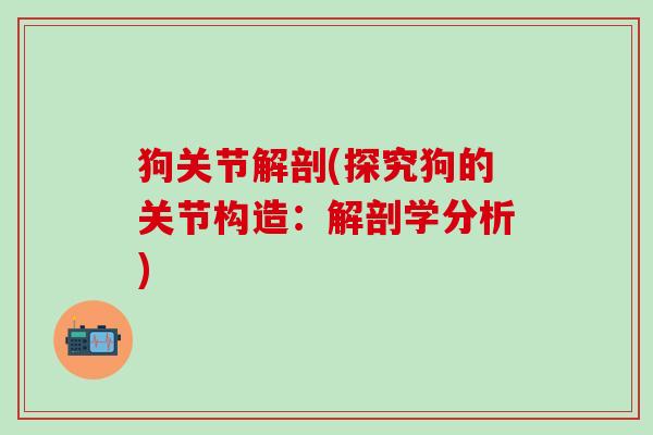 狗关节解剖(探究狗的关节构造:解剖学分析)-第1张图片-氨糖科普网 狗关节解剖(探究狗的关节构造:解剖学分析)-第1张图片-氨糖科普网