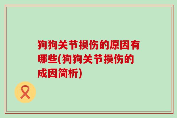 狗狗关节损伤的原因有哪些(狗狗关节损伤的成因简析)-第1张图片-氨糖科普网 狗狗关节损伤的原因有哪些(狗狗关节损伤的成因简析)-第1张图片-氨糖科普网