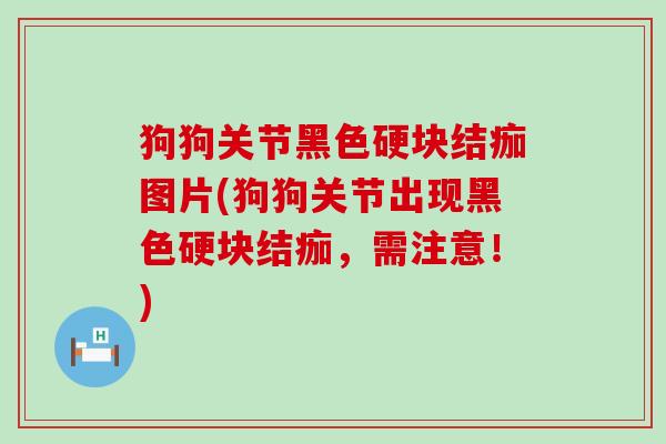 狗狗关节黑色硬块结痂图片(狗狗关节出现黑色硬块结痂，需注意！)-第1张图片-氨糖科普网