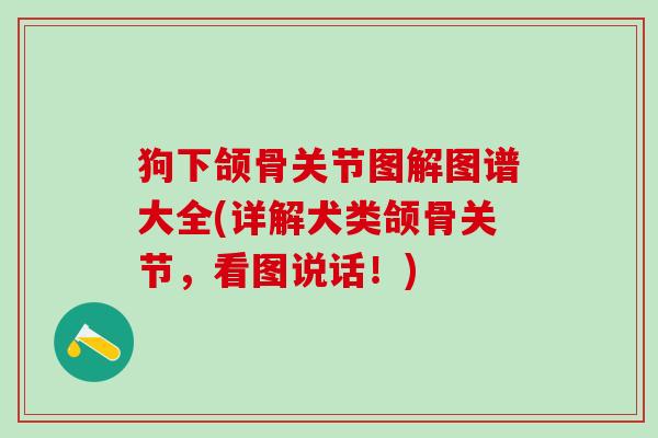 狗下颌骨关节图解图谱大全(详解犬类颌骨关节,看图说话!)-第1张图片-氨糖科普网 狗下颌骨关节图解图谱大全(详解犬类颌骨关节,看图说话!)-第1张图片-氨糖科普网