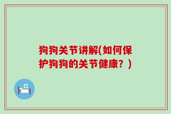 狗狗关节讲解(如何保护狗狗的关节健康?)-第1张图片-氨糖科普网 狗狗关节讲解(如何保护狗狗的关节健康?)-第1张图片-氨糖科普网
