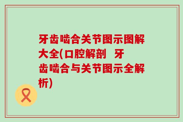 牙齿啮合关节图示图解大全(口腔解剖  牙齿啮合与关节图示全解析)-第1张图片-氨糖科普网