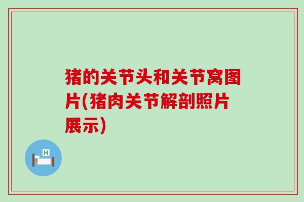猪的关节头和关节窝图片(猪肉关节解剖照片展示)-第1张图片-氨糖科普网 猪的关节头和关节窝图片(猪肉关节解剖照片展示)-第1张图片-氨糖科普网