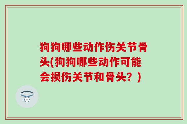 狗狗哪些动作伤关节骨头(狗狗哪些动作可能会损伤关节和骨头?)-第1张图片-氨糖科普网 狗狗哪些动作伤关节骨头(狗狗哪些动作可能会损伤关节和骨头?)-第1张图片-氨糖科普网