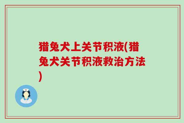 猎兔犬上关节积液(猎兔犬关节积液救治方法)-第1张图片-氨糖科普网 猎兔犬上关节积液(猎兔犬关节积液救治方法)-第1张图片-氨糖科普网