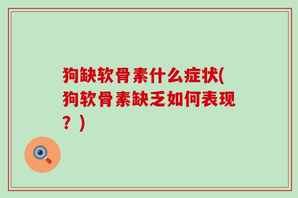 狗缺软骨素什么症状(狗软骨素缺乏如何表现？)-第1张图片-氨糖科普网