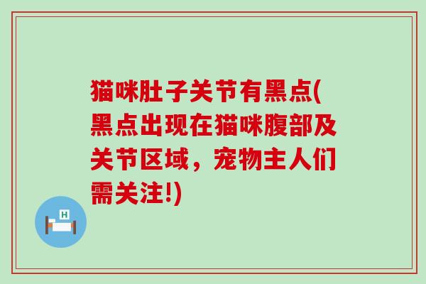 猫咪肚子关节有黑点(黑点出现在猫咪腹部及关节区域,宠物主人们需关注!)-第1张图片-氨糖科普网 猫咪肚子关节有黑点(黑点出现在猫咪腹部及关节区域,宠物主人们需关注!)-第1张图片-氨糖科普网