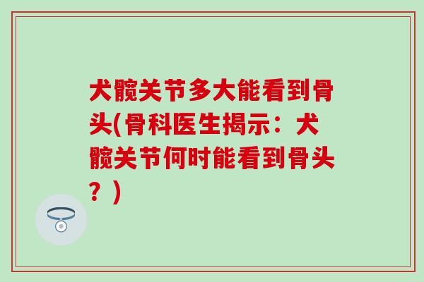 犬髋关节多大能看到骨头(骨科医生揭示：犬髋关节何时能看到骨头？)-第1张图片-氨糖科普网