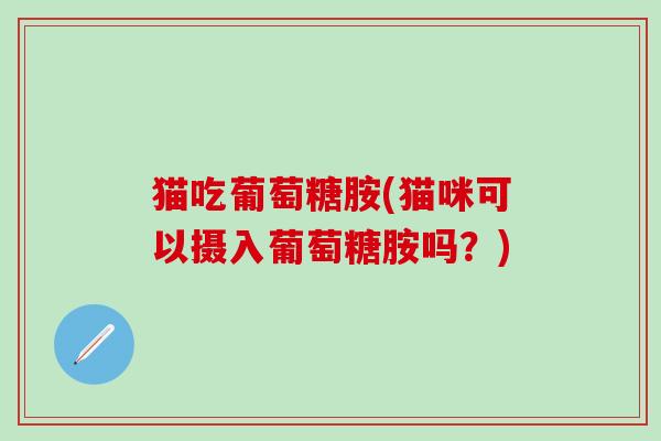 猫吃葡萄糖胺(猫咪可以摄入葡萄糖胺吗?)-第1张图片-氨糖科普网 猫吃葡萄糖胺(猫咪可以摄入葡萄糖胺吗?)-第1张图片-氨糖科普网