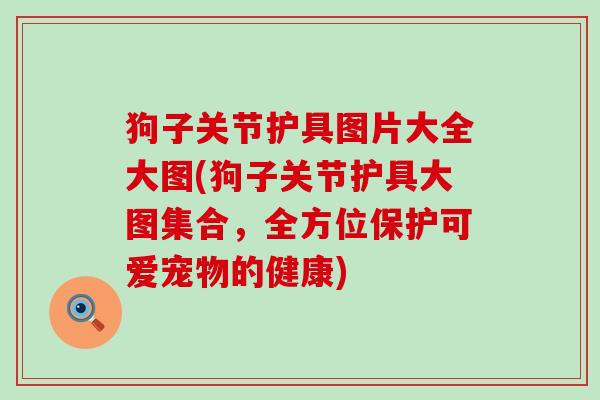 狗子关节护具图片大全大图(狗子关节护具大图集合,全方位保护可爱宠物的健康)-第1张图片-氨糖科普网 狗子关节护具图片大全大图(狗子关节护具大图集合,全方位保护可爱宠物的健康)-第1张图片-氨糖科普网