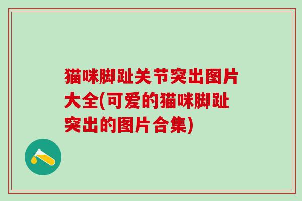 猫咪脚趾关节突出图片大全(可爱的猫咪脚趾突出的图片合集)-第1张图片-氨糖科普网