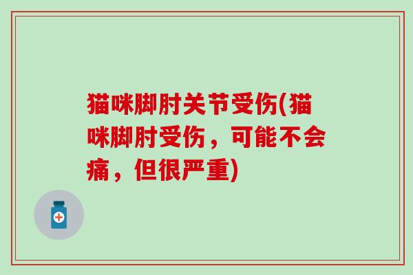 猫咪脚肘关节受伤(猫咪脚肘受伤,可能不会痛,但很严重)-第1张图片-氨糖科普网 猫咪脚肘关节受伤(猫咪脚肘受伤,可能不会痛,但很严重)-第1张图片-氨糖科普网