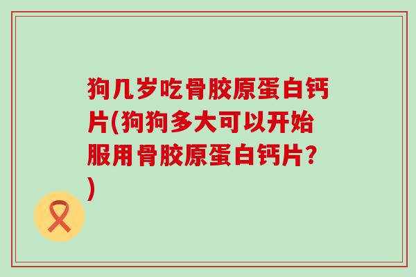 狗几岁吃骨胶原蛋白钙片(狗狗多大可以开始服用骨胶原蛋白钙片？)-第1张图片-氨糖科普网