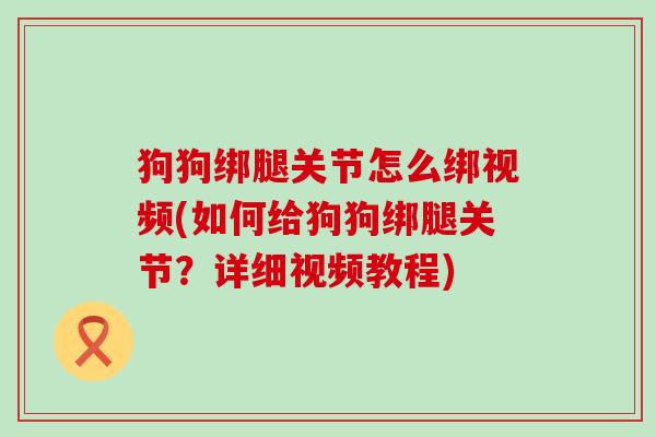 狗狗绑腿关节怎么绑视频(如何给狗狗绑腿关节?详细视频教程)-第1张图片-氨糖科普网 狗狗绑腿关节怎么绑视频(如何给狗狗绑腿关节?详细视频教程)-第1张图片-氨糖科普网