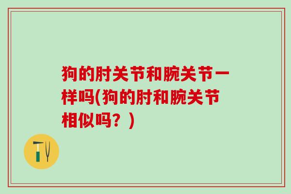 狗的肘关节和腕关节一样吗(狗的肘和腕关节相似吗?)-第1张图片-氨糖科普网 狗的肘关节和腕关节一样吗(狗的肘和腕关节相似吗?)-第1张图片-氨糖科普网