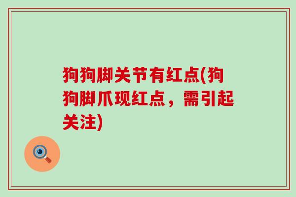 狗狗脚关节有红点(狗狗脚爪现红点,需引起关注)-第1张图片-氨糖科普网 狗狗脚关节有红点(狗狗脚爪现红点,需引起关注)-第1张图片-氨糖科普网