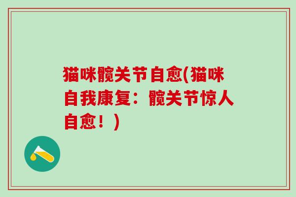 猫咪髋关节自愈(猫咪自我康复:髋关节惊人自愈!)-第1张图片-氨糖科普网 猫咪髋关节自愈(猫咪自我康复:髋关节惊人自愈!)-第1张图片-氨糖科普网