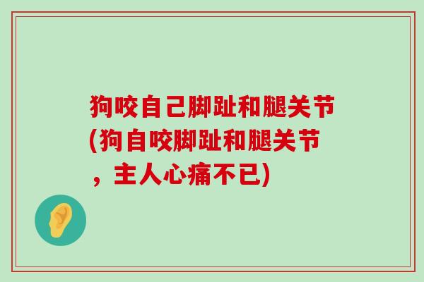 狗咬自己脚趾和腿关节(狗自咬脚趾和腿关节,主人心痛不已)-第1张图片-氨糖科普网 狗咬自己脚趾和腿关节(狗自咬脚趾和腿关节,主人心痛不已)-第1张图片-氨糖科普网