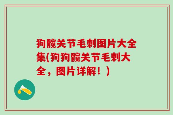 狗髋关节毛刺图片大全集(狗狗髋关节毛刺大全,图片详解!)-第1张图片-氨糖科普网 狗髋关节毛刺图片大全集(狗狗髋关节毛刺大全,图片详解!)-第1张图片-氨糖科普网