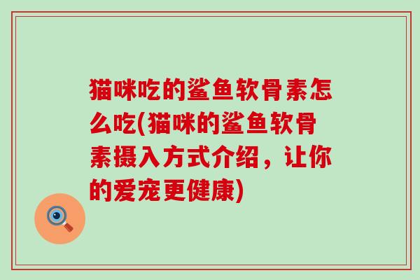 猫咪吃的鲨鱼软骨素怎么吃(猫咪的鲨鱼软骨素摄入方式介绍,让你的爱宠更健康)-第1张图片-氨糖科普网 猫咪吃的鲨鱼软骨素怎么吃(猫咪的鲨鱼软骨素摄入方式介绍,让你的爱宠更健康)-第1张图片-氨糖科普网