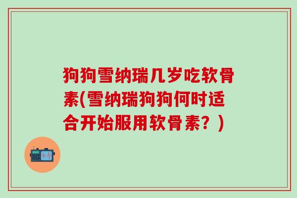狗狗雪纳瑞几岁吃软骨素(雪纳瑞狗狗何时适合开始服用软骨素?)-第1张图片-氨糖科普网 狗狗雪纳瑞几岁吃软骨素(雪纳瑞狗狗何时适合开始服用软骨素?)-第1张图片-氨糖科普网