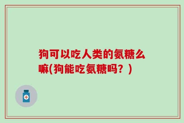 狗可以吃人类的氨糖么嘛(狗能吃氨糖吗?)-第1张图片-氨糖科普网 狗可以吃人类的氨糖么嘛(狗能吃氨糖吗?)-第1张图片-氨糖科普网