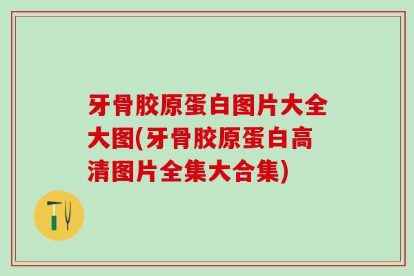 牙骨胶原蛋白图片大全大图(牙骨胶原蛋白高清图片全集大合集)-第1张图片-氨糖科普网 牙骨胶原蛋白图片大全大图(牙骨胶原蛋白高清图片全集大合集)-第1张图片-氨糖科普网