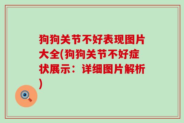 狗狗关节不好表现图片大全(狗狗关节不好症状展示:详细图片解析)-第1张图片-氨糖科普网 狗狗关节不好表现图片大全(狗狗关节不好症状展示:详细图片解析)-第1张图片-氨糖科普网