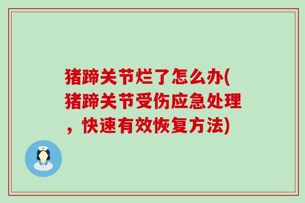 猪蹄关节烂了怎么办(猪蹄关节受伤应急处理,快速有效恢复方法)-第1张图片-氨糖科普网 猪蹄关节烂了怎么办(猪蹄关节受伤应急处理,快速有效恢复方法)-第1张图片-氨糖科普网
