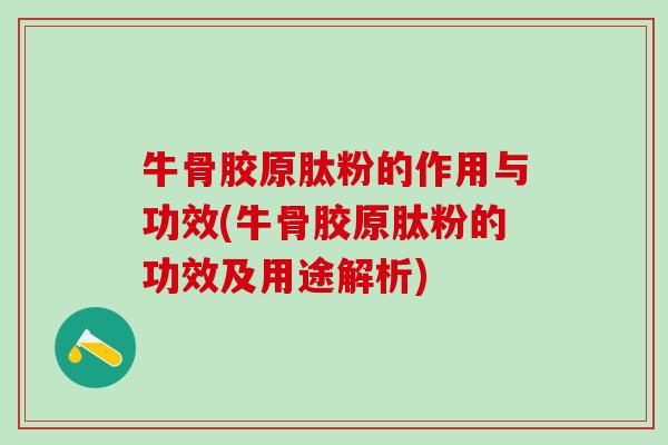 牛骨胶原肽粉的作用与功效(牛骨胶原肽粉的功效及用途解析)-第1张图片-氨糖科普网 牛骨胶原肽粉的作用与功效(牛骨胶原肽粉的功效及用途解析)-第1张图片-氨糖科普网