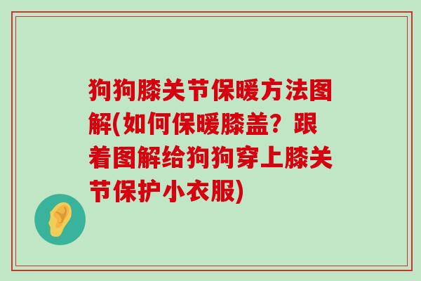 狗狗膝关节保暖方法图解(如何保暖膝盖?跟着图解给狗狗穿上膝关节保护小衣服)-第1张图片-氨糖科普网 狗狗膝关节保暖方法图解(如何保暖膝盖?跟着图解给狗狗穿上膝关节保护小衣服)-第1张图片-氨糖科普网