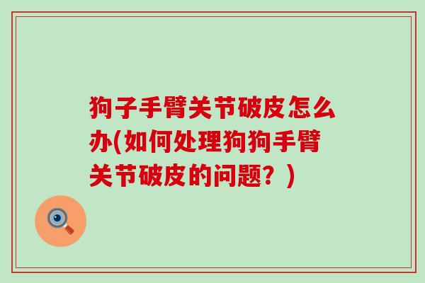 狗子手臂关节破皮怎么办(如何处理狗狗手臂关节破皮的问题?)-第1张图片-氨糖科普网 狗子手臂关节破皮怎么办(如何处理狗狗手臂关节破皮的问题?)-第1张图片-氨糖科普网
