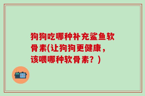狗狗吃哪种补充鲨鱼软骨素(让狗狗更健康，该喂哪种软骨素？)-第1张图片-氨糖科普网