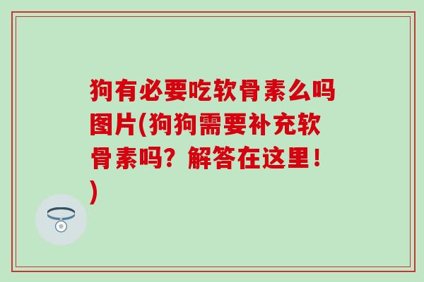 狗有必要吃软骨素么吗图片(狗狗需要补充软骨素吗？解答在这里！)-第1张图片-氨糖科普网