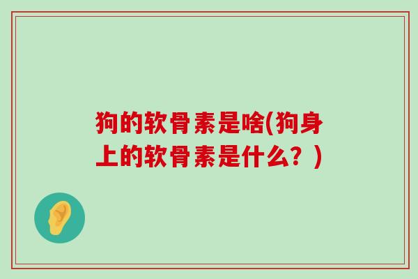 狗的软骨素是啥(狗身上的软骨素是什么?)-第1张图片-氨糖科普网 狗的软骨素是啥(狗身上的软骨素是什么?)-第1张图片-氨糖科普网