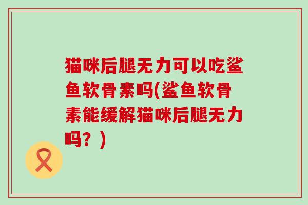 猫咪后腿无力可以吃鲨鱼软骨素吗(鲨鱼软骨素能缓解猫咪后腿无力吗?)-第1张图片-氨糖科普网 猫咪后腿无力可以吃鲨鱼软骨素吗(鲨鱼软骨素能缓解猫咪后腿无力吗?)-第1张图片-氨糖科普网