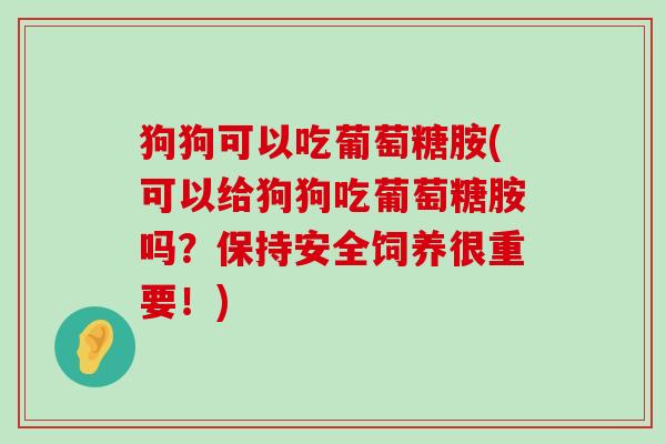 狗狗可以吃葡萄糖胺(可以给狗狗吃葡萄糖胺吗?保持安全饲养很重要!)-第1张图片-氨糖科普网 狗狗可以吃葡萄糖胺(可以给狗狗吃葡萄糖胺吗?保持安全饲养很重要!)-第1张图片-氨糖科普网