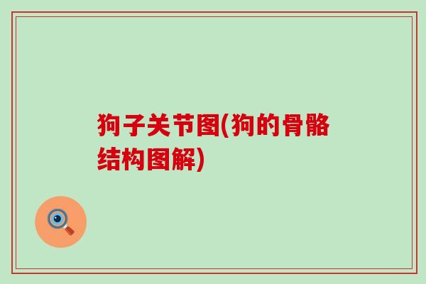 狗子关节图(狗的骨骼结构图解)-第1张图片-氨糖科普网 狗子关节图(狗的骨骼结构图解)-第1张图片-氨糖科普网