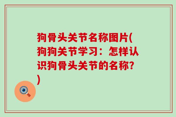 狗骨头关节名称图片(狗狗关节学习:怎样认识狗骨头关节的名称?)-第1张图片-氨糖科普网 狗骨头关节名称图片(狗狗关节学习:怎样认识狗骨头关节的名称?)-第1张图片-氨糖科普网