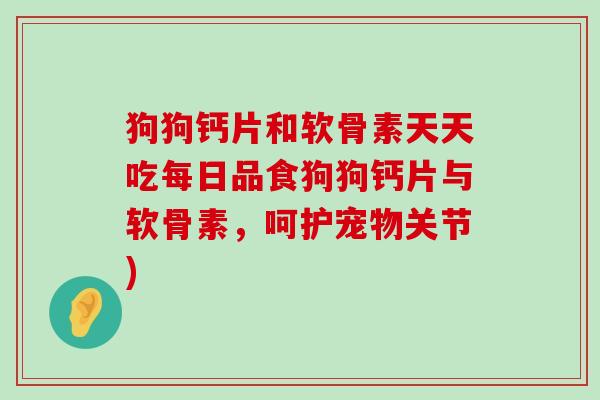 狗狗钙片和软骨素天天吃每日品食狗狗钙片与软骨素,呵护宠物关节)-第1张图片-氨糖科普网 狗狗钙片和软骨素天天吃每日品食狗狗钙片与软骨素,呵护宠物关节)-第1张图片-氨糖科普网