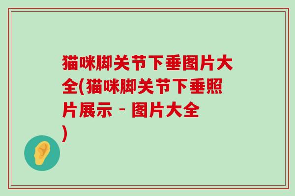 猫咪脚关节下垂图片大全(猫咪脚关节下垂照片展示 - 图片大全)-第1张图片-氨糖科普网