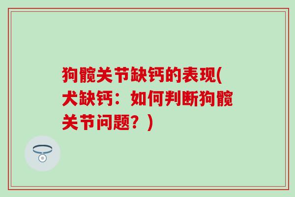 狗髋关节缺钙的表现(犬缺钙：如何判断狗髋关节问题？)-第1张图片-氨糖科普网