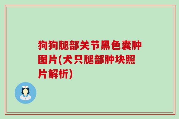 狗狗腿部关节黑色囊肿图片(犬只腿部肿块照片解析)-第1张图片-氨糖科普网