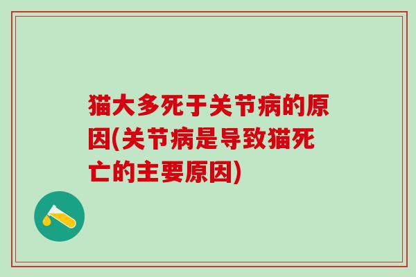 猫大多死于关节病的原因(关节病是导致猫死亡的主要原因)-第1张图片-氨糖科普网 猫大多死于关节病的原因(关节病是导致猫死亡的主要原因)-第1张图片-氨糖科普网
