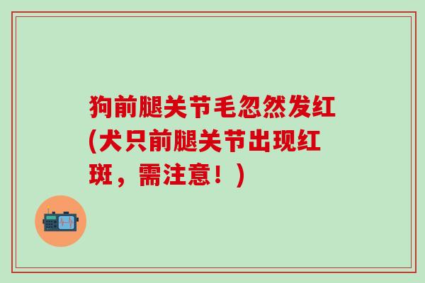 狗前腿关节毛忽然发红(犬只前腿关节出现红斑,需注意!)-第1张图片-氨糖科普网 狗前腿关节毛忽然发红(犬只前腿关节出现红斑,需注意!)-第1张图片-氨糖科普网