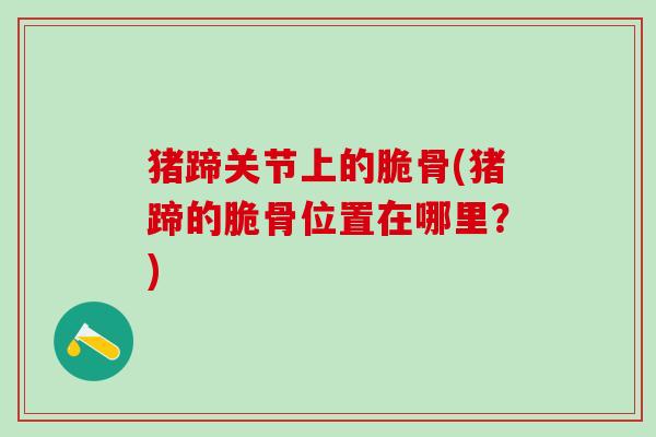 猪蹄关节上的脆骨(猪蹄的脆骨位置在哪里?)-第1张图片-氨糖科普网 猪蹄关节上的脆骨(猪蹄的脆骨位置在哪里?)-第1张图片-氨糖科普网