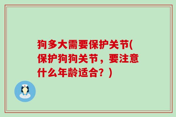 狗多大需要保护关节(保护狗狗关节,要注意什么年龄适合?)-第1张图片-氨糖科普网 狗多大需要保护关节(保护狗狗关节,要注意什么年龄适合?)-第1张图片-氨糖科普网
