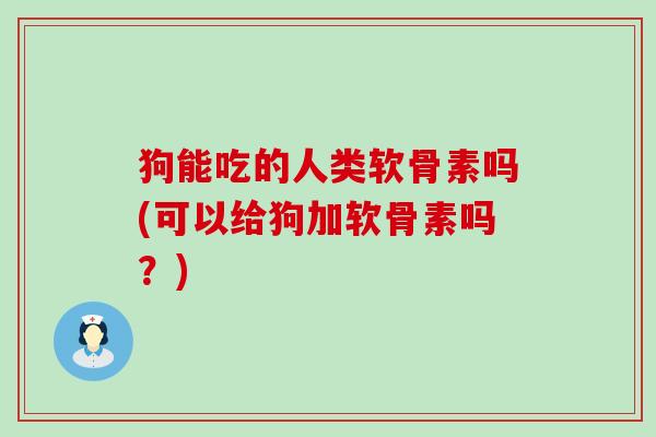 狗能吃的人类软骨素吗(可以给狗加软骨素吗?)-第1张图片-氨糖科普网 狗能吃的人类软骨素吗(可以给狗加软骨素吗?)-第1张图片-氨糖科普网