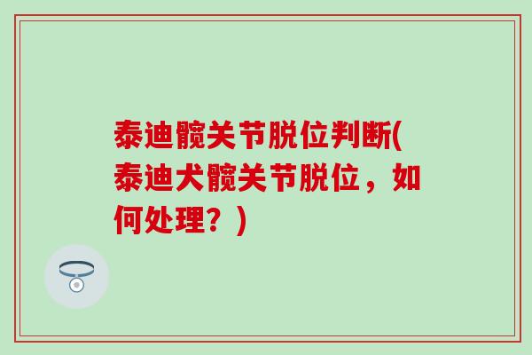 泰迪髋关节脱位判断(泰迪犬髋关节脱位，如何处理？)-第1张图片-氨糖科普网